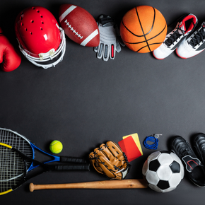 Spor Malzemeleri İthalat ve İhracatı